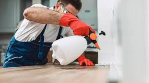 Real Estate Pest Inspections in Trenton, MI